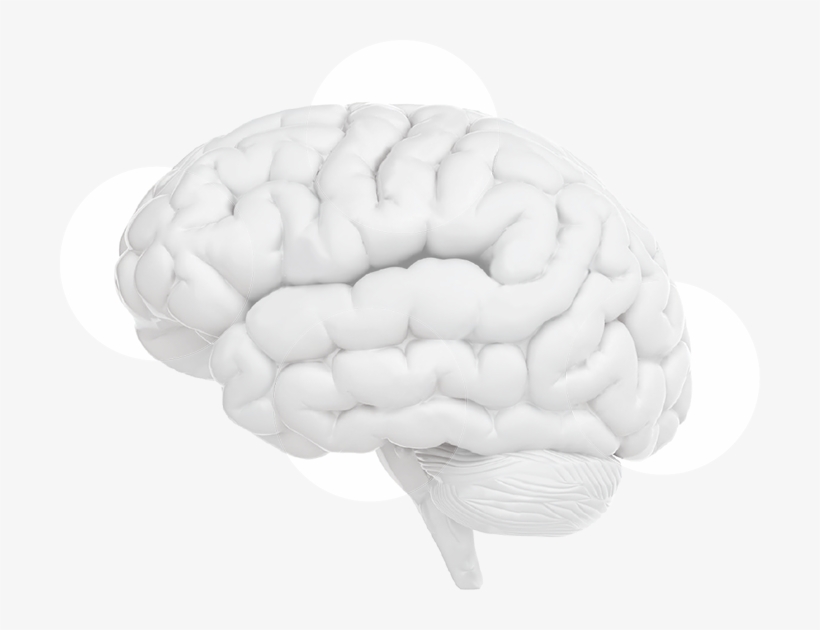 Get To The Root Cause Of Pain - Circle, transparent png download