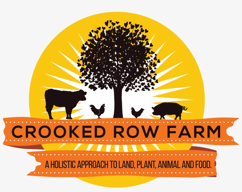 Madison, Florida - Graphic Design, transparent png download