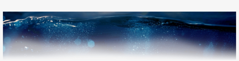 What People Are Saying About Us - Underwater, transparent png download