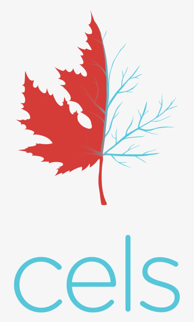 Vector Maple Leaf Silhouette, transparent png download
