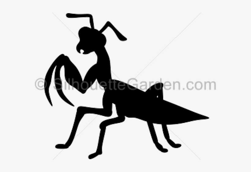 Black And White Mantis Clipart, transparent png download