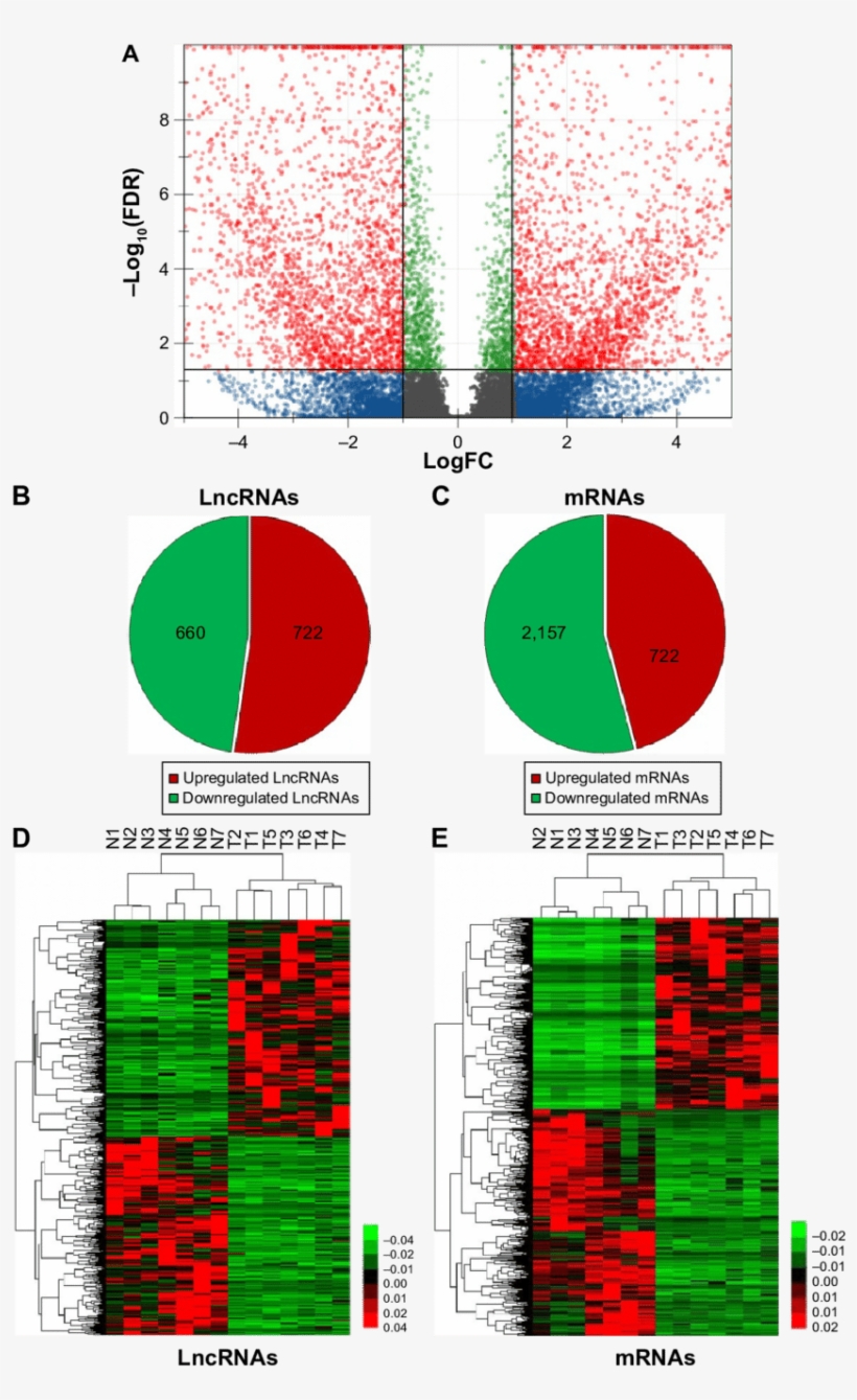 Summary Of Rna Sequencing Results - Rna Sequencing Result, transparent png download