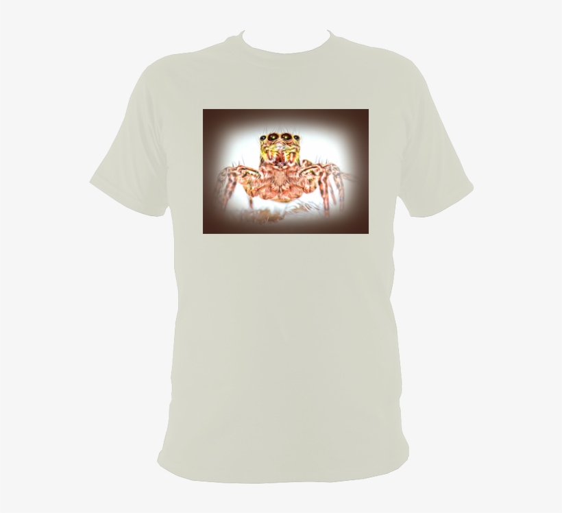 Grey New-1 - King Crab, transparent png download
