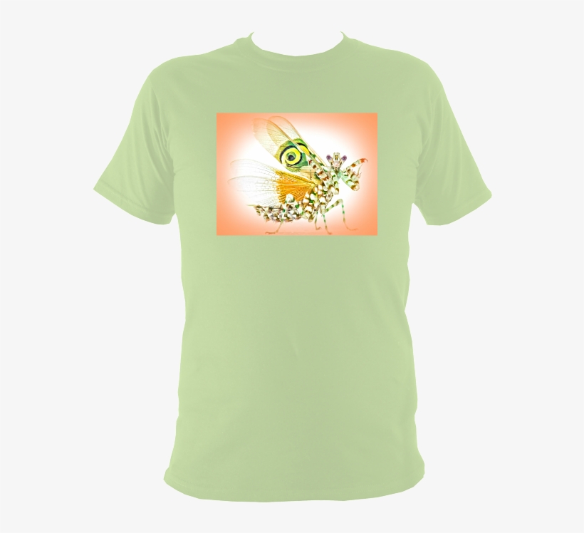 Camomile, transparent png download
