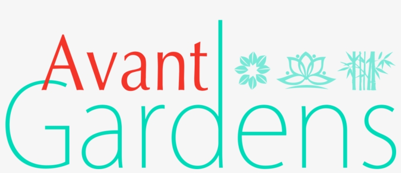 Miami, Fl Florist - Avant Gardens, transparent png download