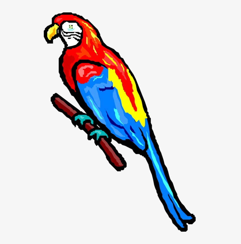 Share - Parrot, transparent png download
