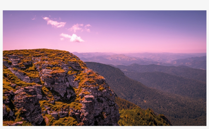 Score 50% - Hvga, transparent png download