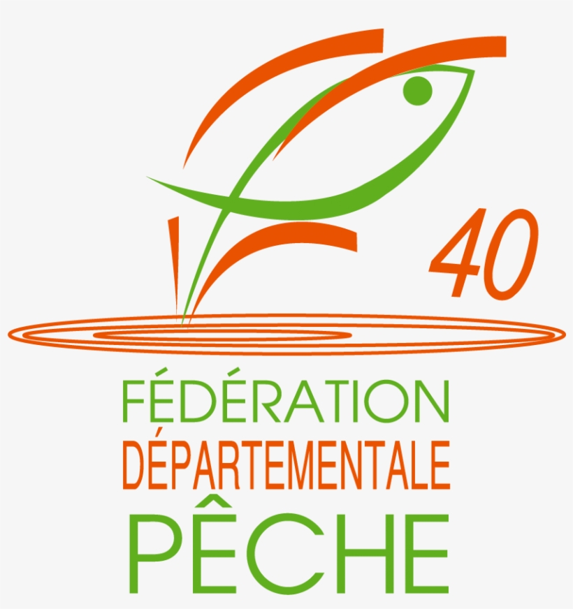 Logo Fd40 Hd Png, transparent png download