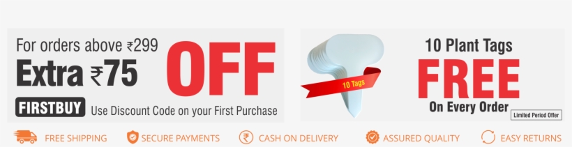 New Product Launches - Graphic Design, transparent png download