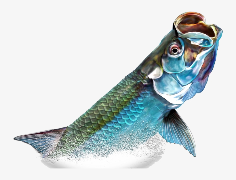 The Mission Of The Golden Meadow-fourchon Tarpon Rodeo - Tarpon Png, transparent png download