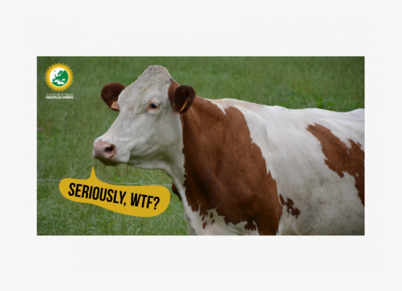 On Friday 1st June, European Commissioner Phil Hogan - Dairy Cow, transparent png download