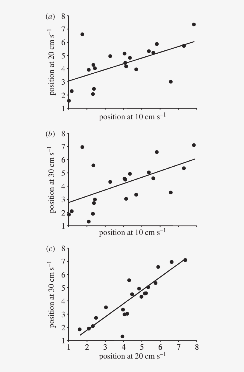 Relationships Among Mean Positions Of Focal Fish In - Plot, transparent png download