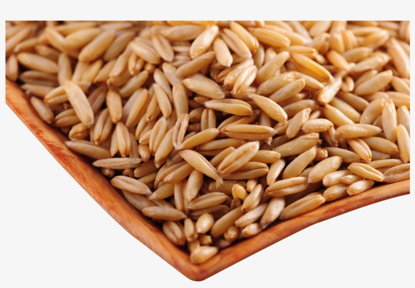 Vector Free Stock Food Wheat Barley Dumpling Noodle - Whole Grain, transparent png download