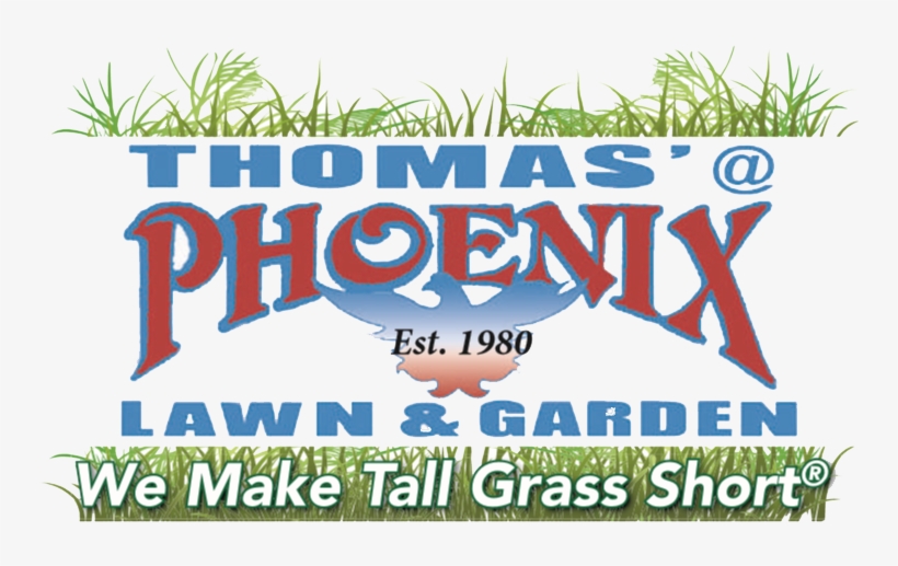 Grass, transparent png download