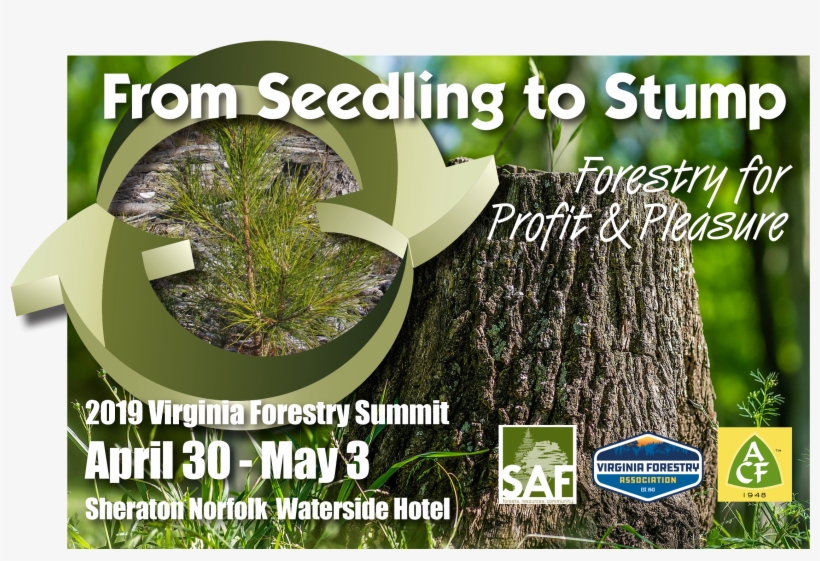 2019 Va Forestry Summit - Flyer, transparent png download