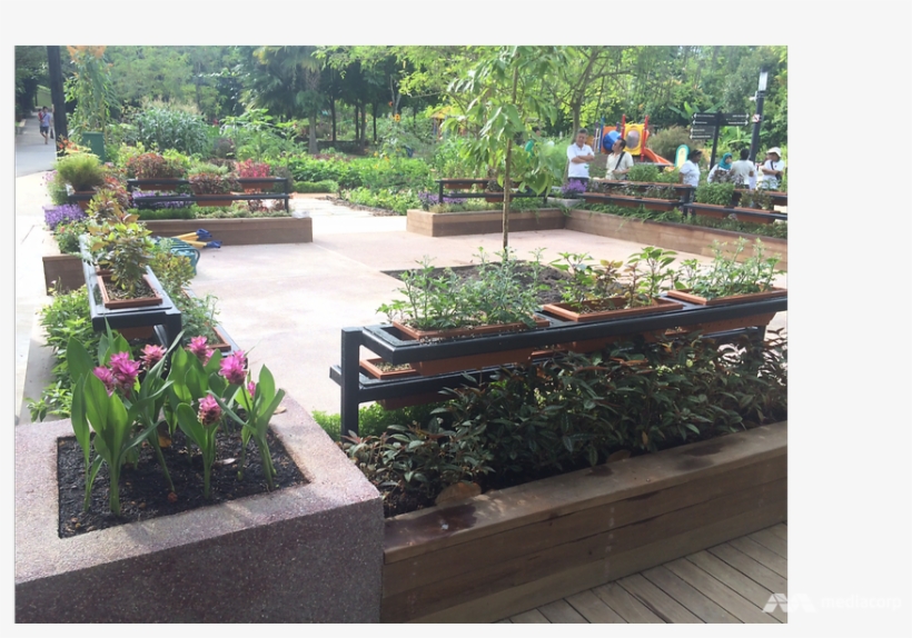Therapeutic Garden Bishan Park, transparent png download