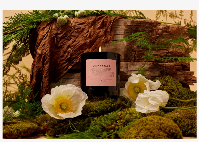 Candle, transparent png download