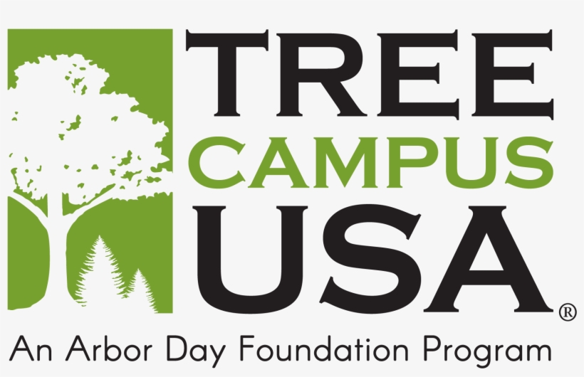 Graphic Design, transparent png download