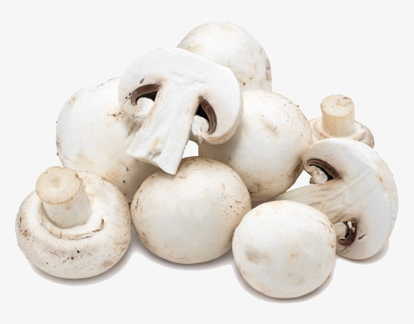 Button Mushrooms - Mushroom Png, transparent png download