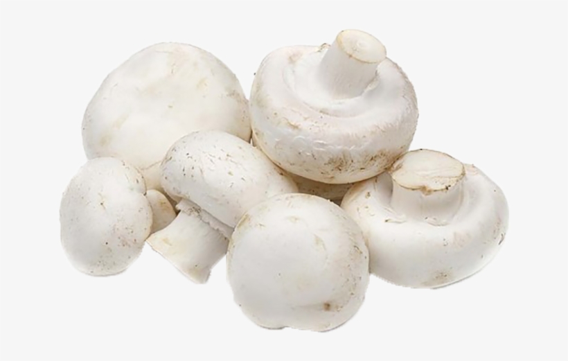 Button Mushrooms, transparent png download