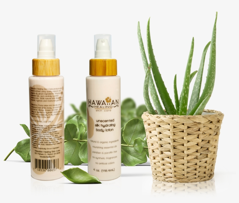 New Unscented Silk Hydrating Body Lotion - Aloes, transparent png download