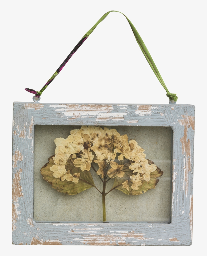 Picture Frame, transparent png download