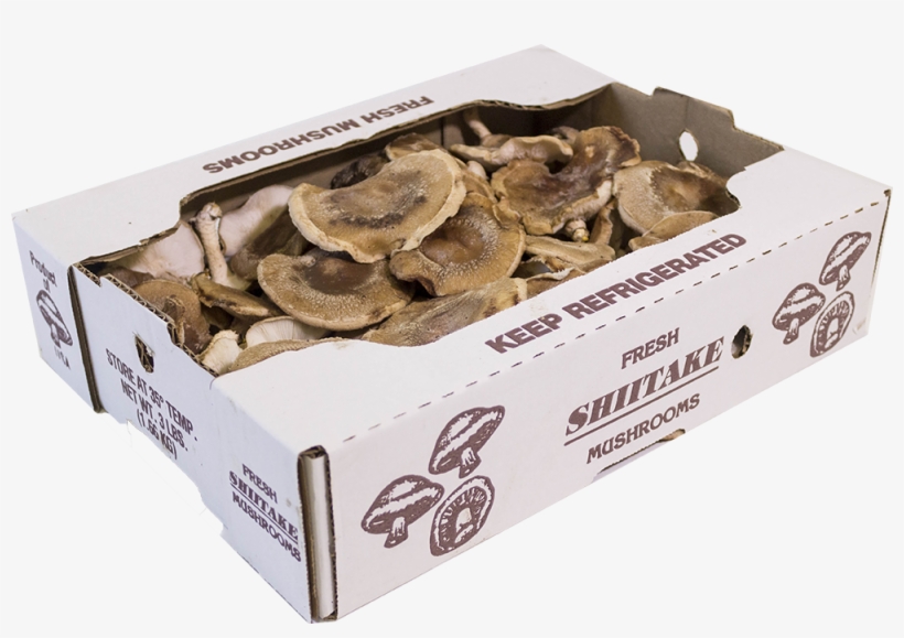 5lb Shitaki Box - Lingzhi Mushroom, transparent png download