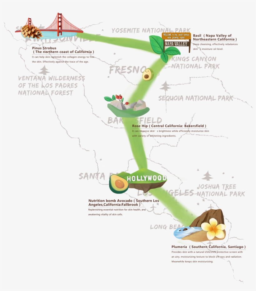 Calibio, Extraction Of The Natural Essence Of California - Map, transparent png download