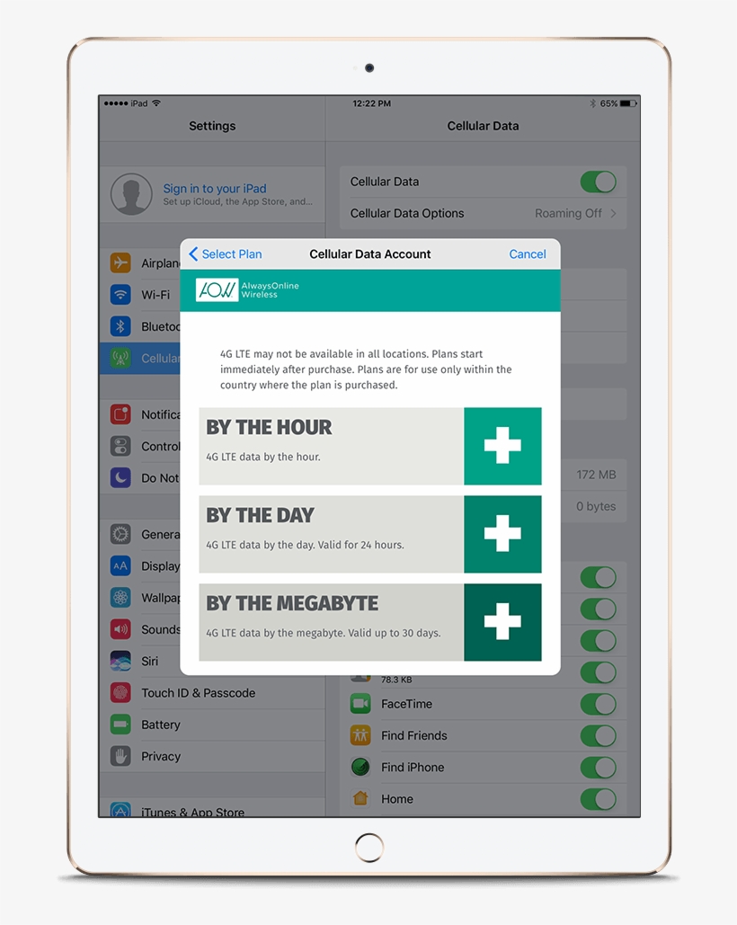 How To Buy Aow Direct On Your Ipad With Apple Sim - Apple Sim Plan, transparent png download