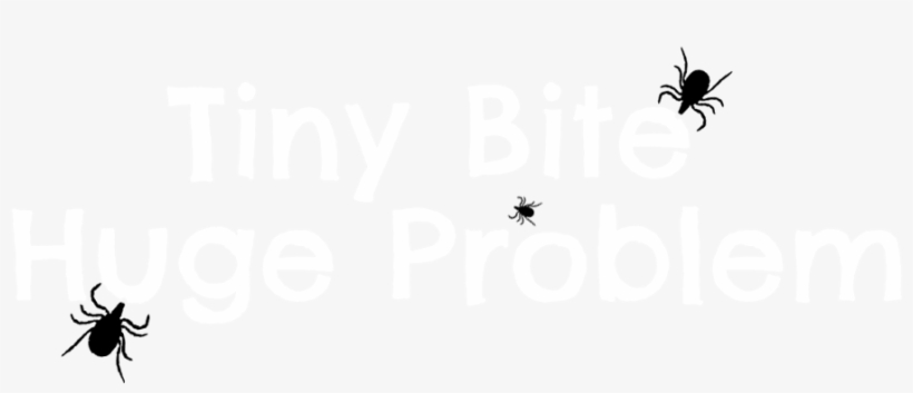 The Lyme Action Network Is A Not For Profit Organization - Poster, transparent png download