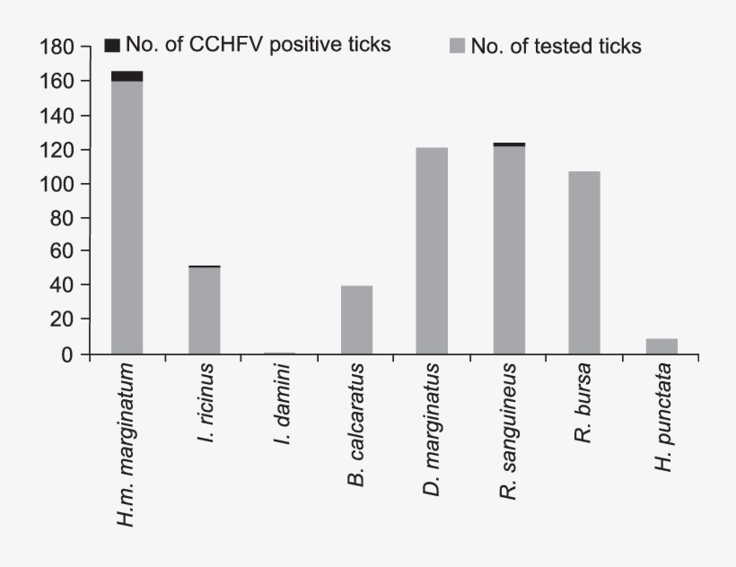 Cchfv-infestation Among Ticks From The Region Of Stara - Number, transparent png download