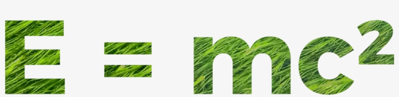 Cfs 44 44th Session Of The Committee On World Food - Sweet Grass, transparent png download