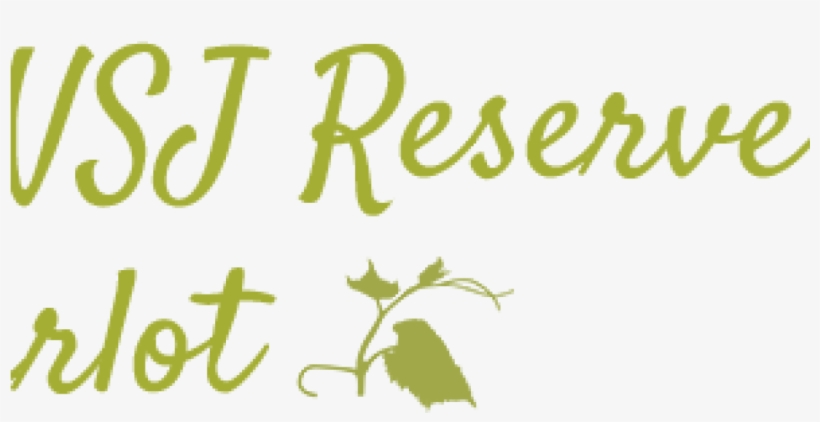 Tit - Calligraphy, transparent png download