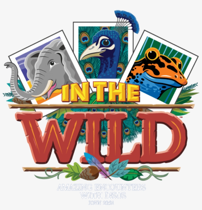 Can't Make It To Our Annual Vacation Bible School Institute - Vbs Clinic, transparent png download