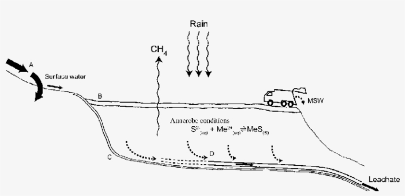Schematic View Of Selected Processes In A Sanitary - Diagram, transparent png download