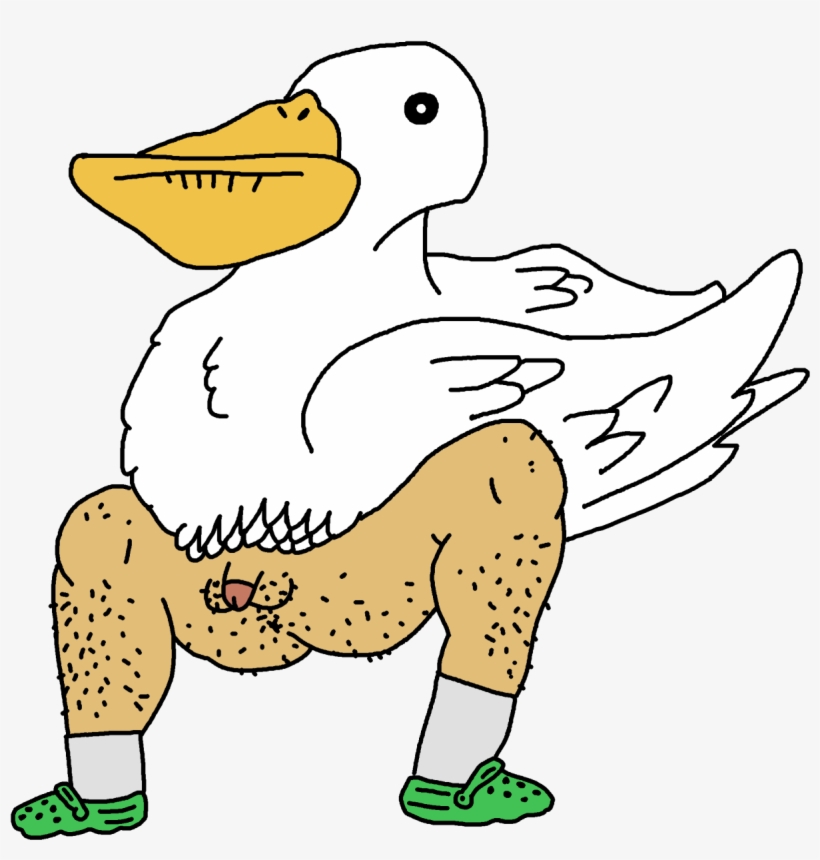 “pelicanman ” No Words Can Explain This Besides Well - Cartoon, transparent png download