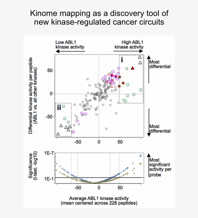 1493146506 Ccmi023 , 2017 04 25 - Diagram, transparent png download