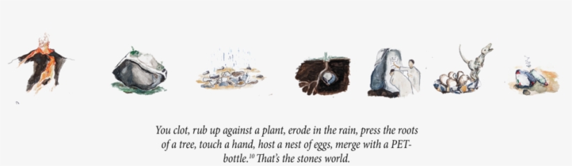 Stonesworld - House Fly, transparent png download