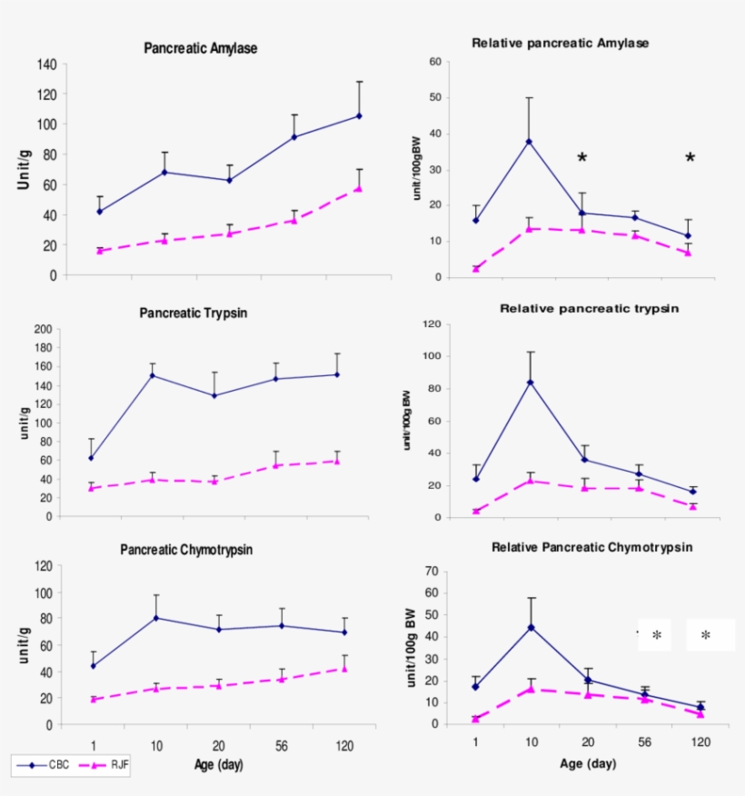 Activities Of Amylase, Trypsin And Chymotrypsin In - Diagram, transparent png download