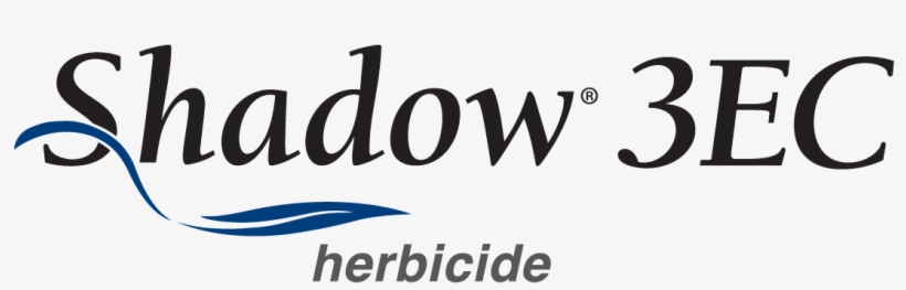 Graphic Design, transparent png download