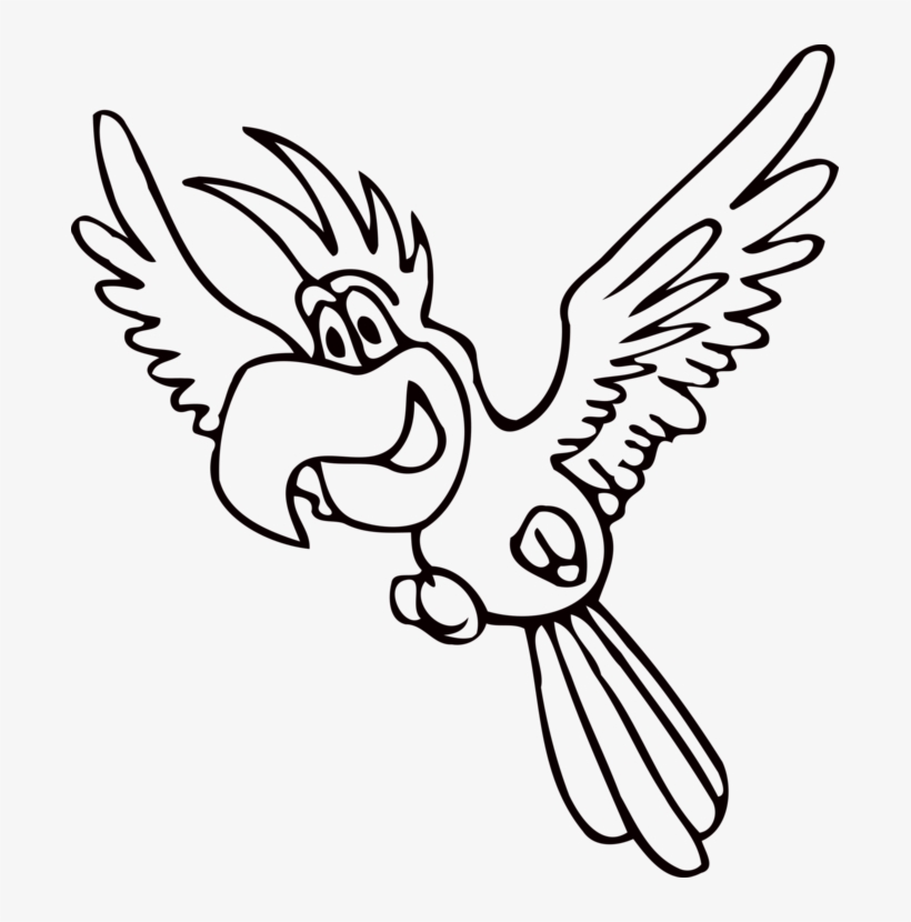 Amazon Parrot Beak Drawing Coloring Book Bird - Papagaio Para Colorir, transparent png download