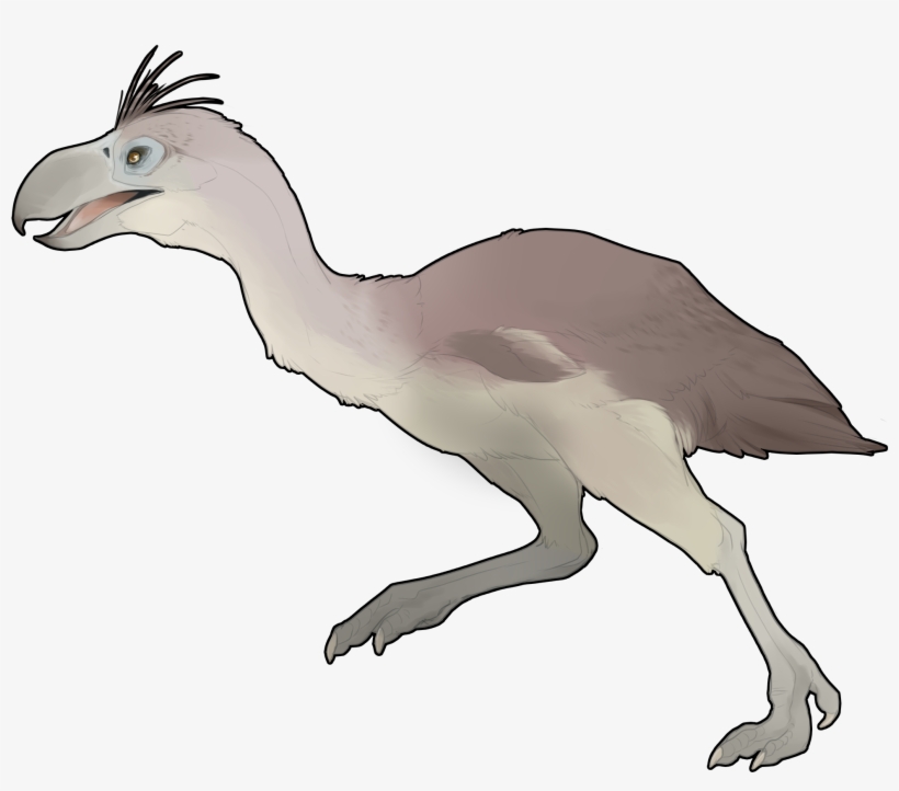 Camel, transparent png download
