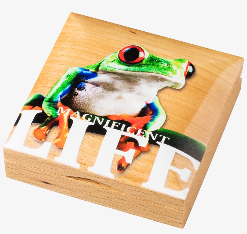 Cook Islands - 2018 - 5 Dollars - Magnificent Life - Tree Frog, transparent png download