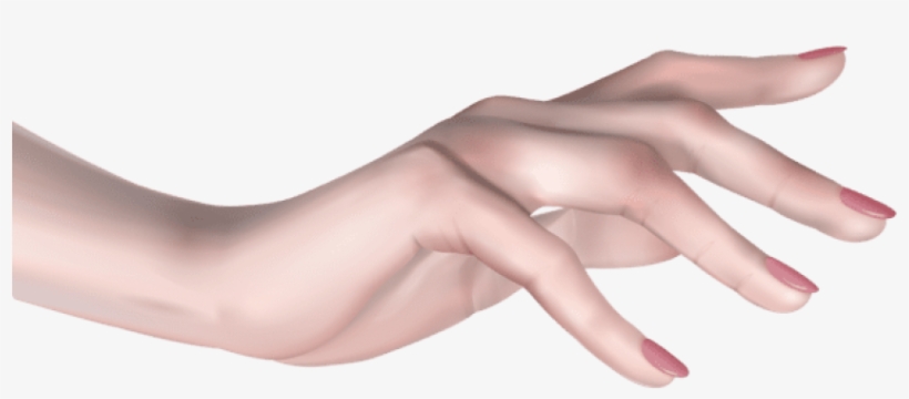 Free Png Download Female Hand Clipart Png Photo Png - Female Hand Png, transparent png download