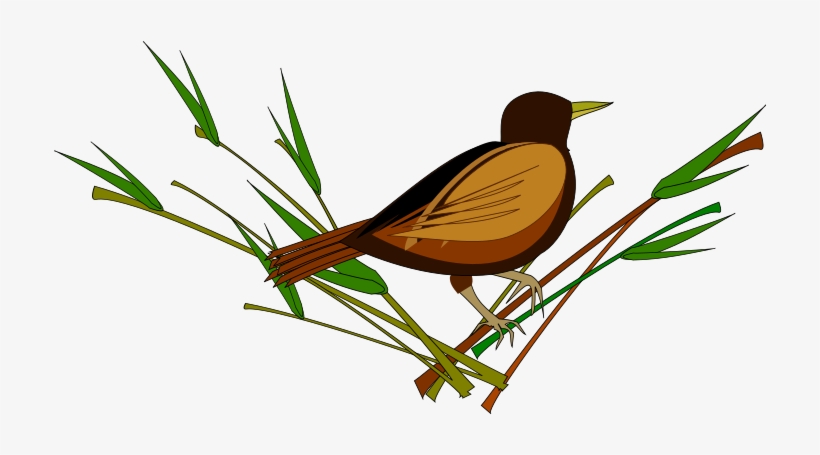 Sparrow Png Pic - นกกระจอก การ์ตูน Png, transparent png download