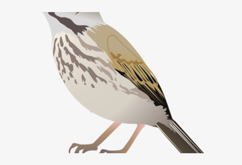 Illustration, transparent png download