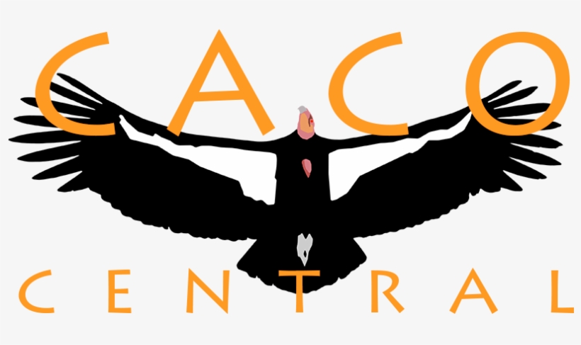 Enter Your Email And Password, Then Click The Login - Golden Eagle, transparent png download