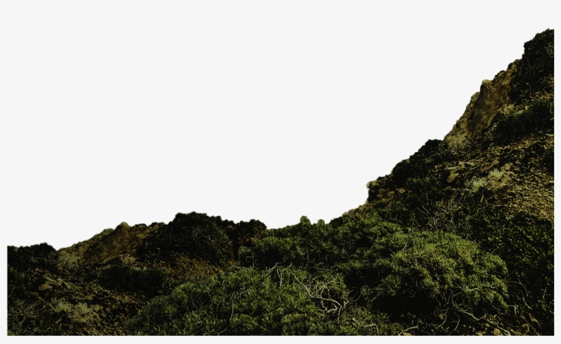 Salvador, Northern Brazil's Most Populous City, Is - God, transparent png download