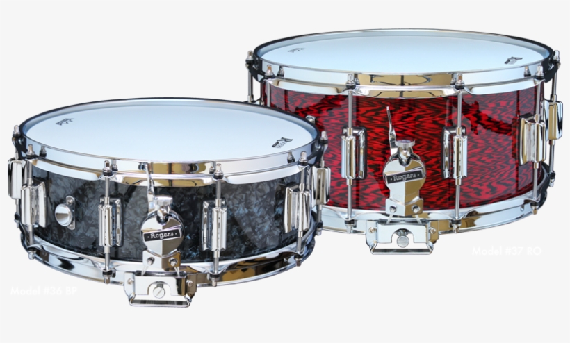 Snare Drum Rogers Wood, transparent png download