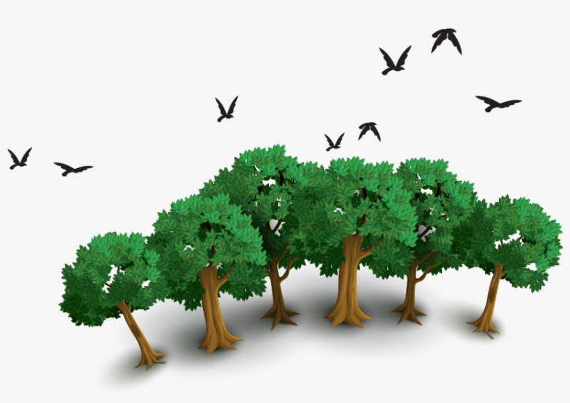 Download - Tree, transparent png download